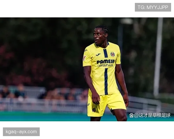 埃弗顿精耕转会市场:以高性价比引援策略稳步提升球队竞争力 埃弗顿精耕转会市场:以高性价比引援策略稳步提升球队竞争力