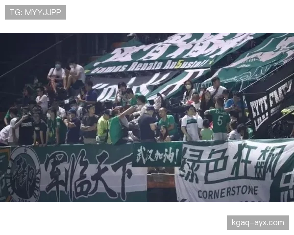 国安中场失控隐忧显现：控球数据尚可，节奏混乱影响攻防衔接